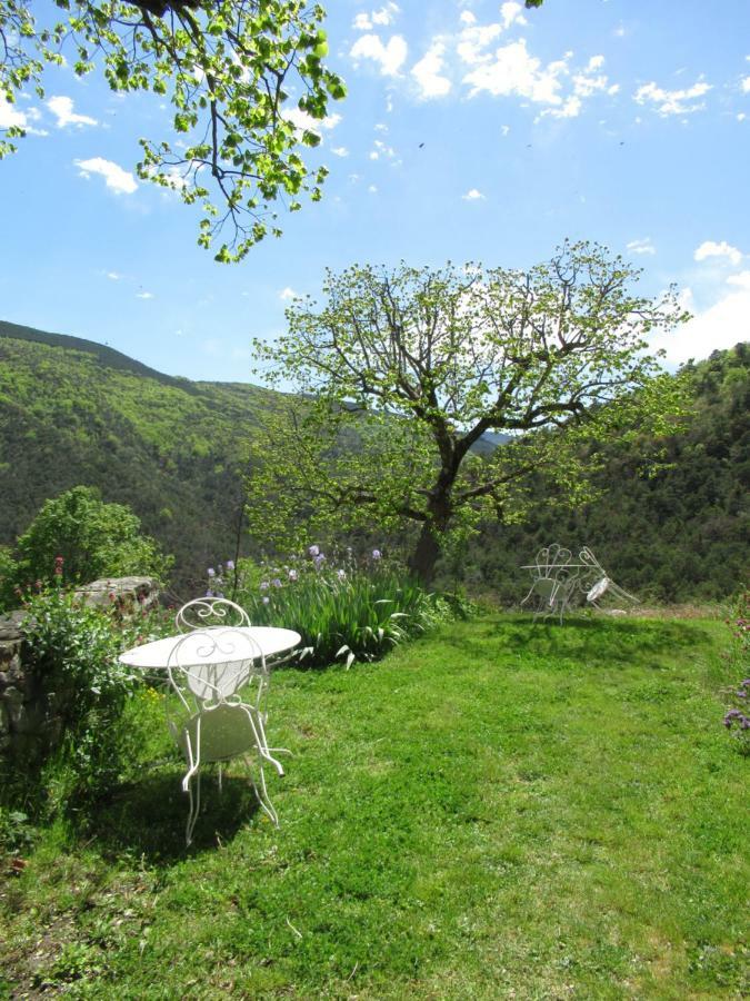 La Ferme De La Condamine Bed & Breakfast Saint-Andre-de-Rosans Exterior photo